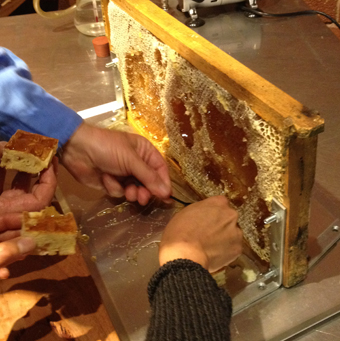 A frame of honey from the Melbourne Food Depot bees, minimal food miles maximum flavour