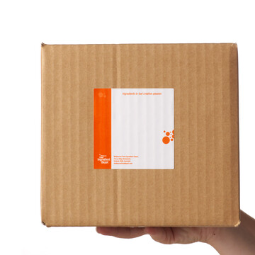 Lactic Acid Powder 800g