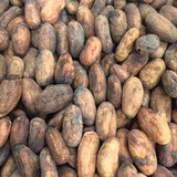 Cocoa Beans Whole (Raw & Organic) 200g