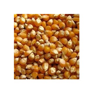 Popping Corn 1.2kg